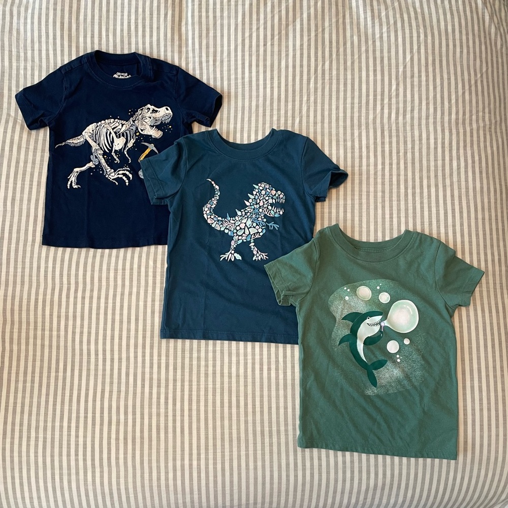 Toddler Dinosaur Graphic Tees - Set of 3 | Size: 2T